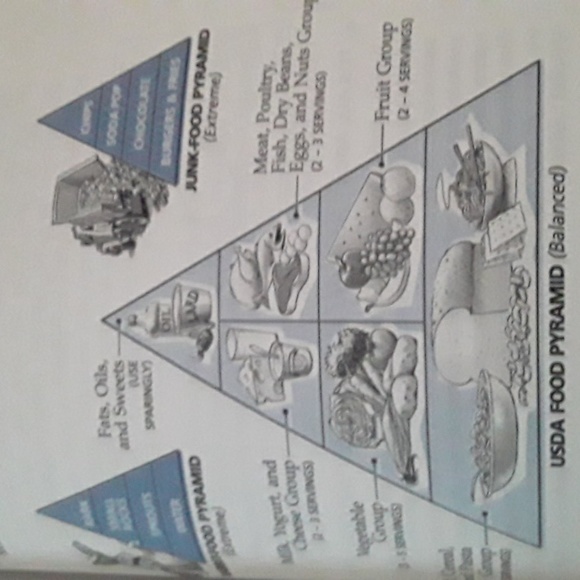 Book - Picture 9 of 12